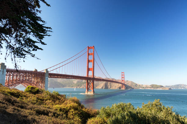 istock Famous Golden Gate Bridge 1134321211