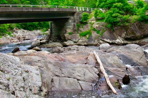 istock Creek in the Smokey Mountains 1134322286