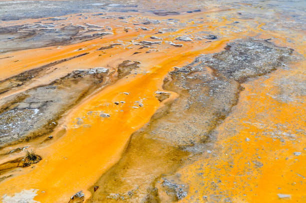 istock Colorful Orange Geothermal Bacteria 1134324912