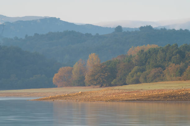 istock lake with autumn forest with fog 1134325321