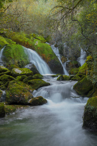 istock waterfall with green rocks in long exposure 1134325325