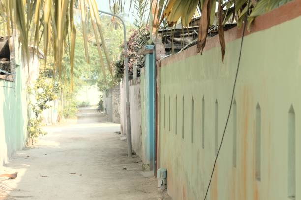 istock Colored maldivian house with a green wall with windows (Ari Atoll, Maldives) 1134326194