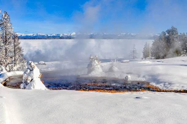 istock Small Geysers Along Yellowstone Lake 1134326241