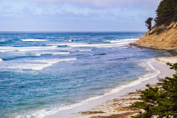 istock The scenic Pacific Ocean coastline, Moss Beach, California 1134326308