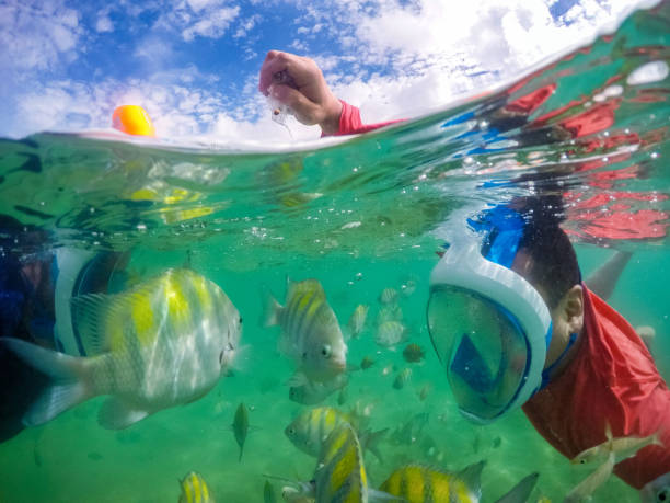 istock Amazing lifestyle on the beach. 1134329876