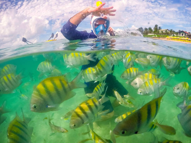 istock Amazing lifestyle on the beach. 1134329925
