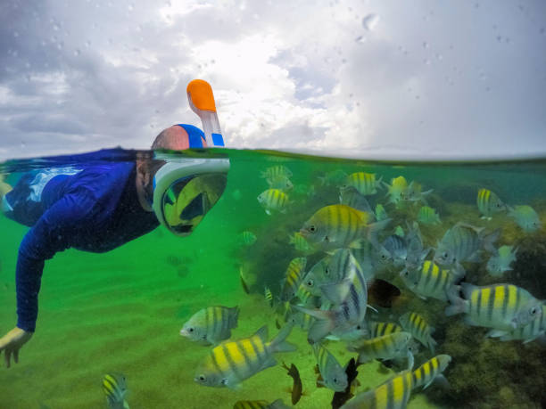istock Amazing lifestyle on the beach. 1134331190
