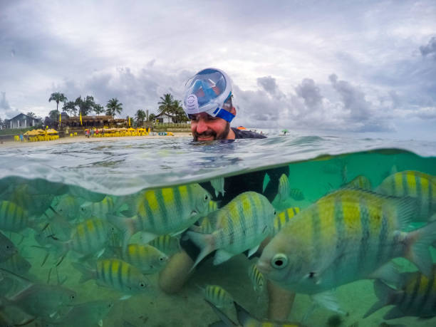 istock Amazing lifestyle on the beach. 1134331242