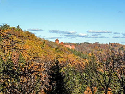 Gauja valley slopes covered under colorful autumn trees and Turaida medieval red stone brick castle