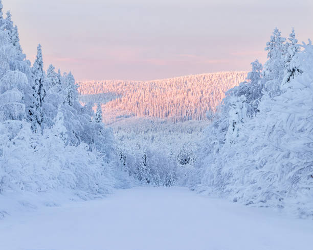 Winter road Cold afternoon in Swedish lapland årstid stock pictures, royalty-free photos & images