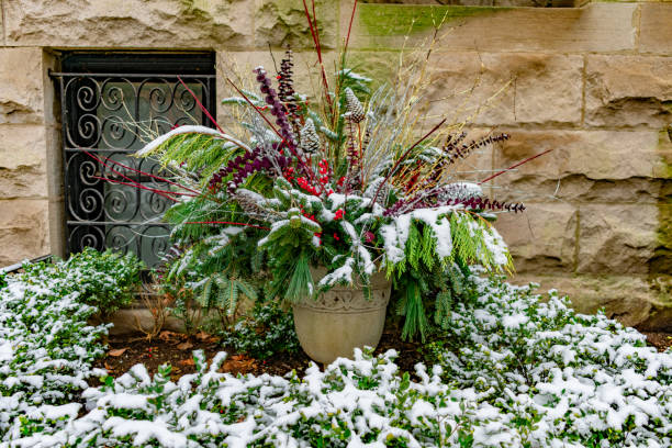 An Outdoor Holiday Planter covered with Snow