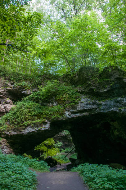istock Maquoketa Caves SP - Natural Bridge Vertical 1134348275