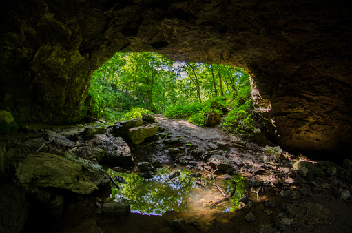 Maquoketa Caves State Park  - Looking toward an entrance to the cave, reflected in a pool of water in the foreground. A