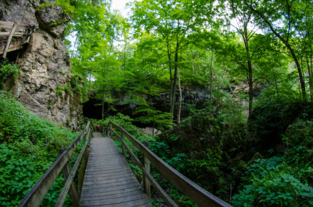 istock Maquoketa Caves SP - Boardwalk Into the Earth 1134349451