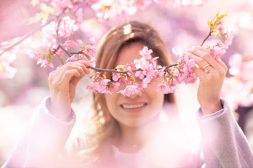Young woman covering her eyes with cherry blossoms
