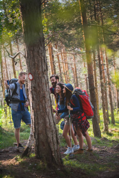 istock Summer is great time for hiking 1134361350