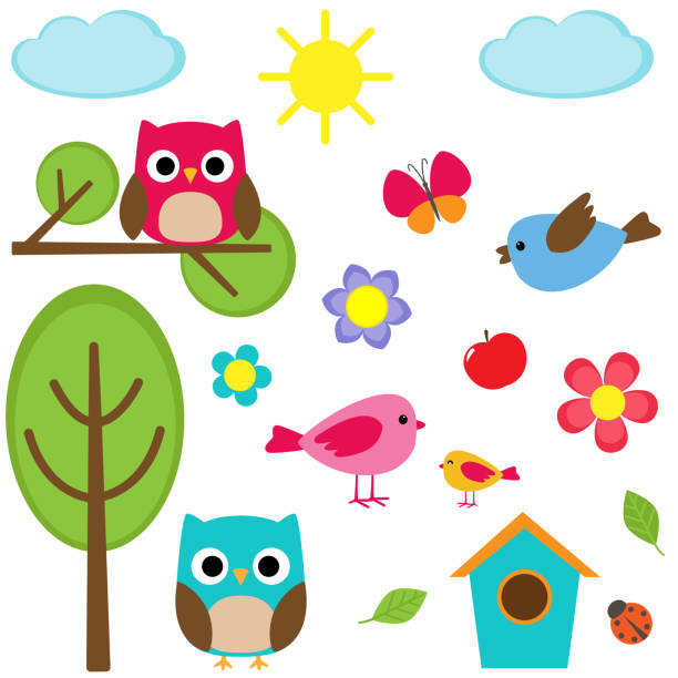 Different summer elements Cute vector set of different summer elements ladybug frame border clip art stock illustrations