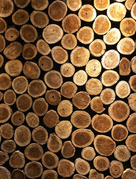 Stacked logs of wood