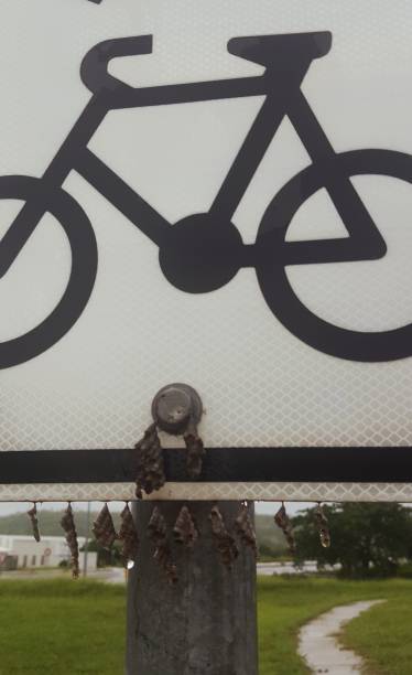 istock Signpost - bike lane 1134380012