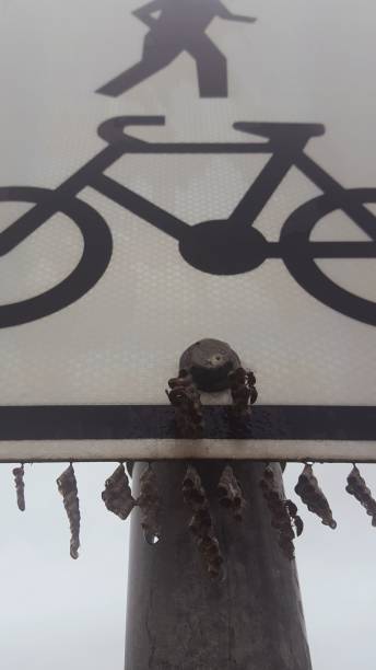 Signpost - bike lane