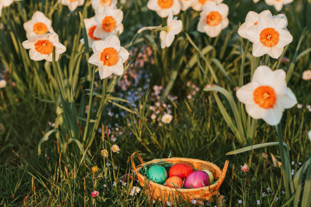 istock Small basket with colorful easter eggs hidden in spring garden 1134381065