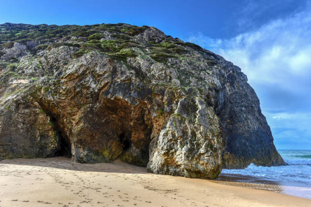 istock Adraga Beach-South Africa 1134381698