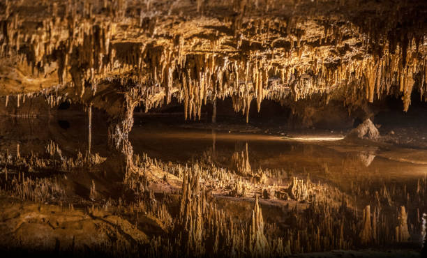 Luray Caverns in the Shenandoah Valley The rainwater seeps through the decaying vegetation in the soil, it picks up diluted carbonic acid.  The acidified water percolates through limestone, dissolving and eroding layers along the way.  It descends into the lower levels of the earth and leaves huge chambers. Over time, what starts as slow seepage and thin deposits of crystallized calcite becomes the massive forms of Luray Caverns. stalactite stock pictures, royalty-free photos & images