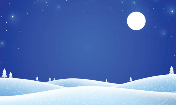 Christmas Background Snow, Winter, Night, Christmas Tree, Star Shape polar climate stock illustrations