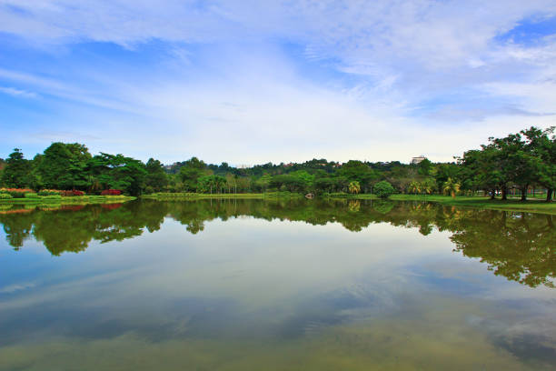 istock Line of trees and reflection on the lake 1134384412