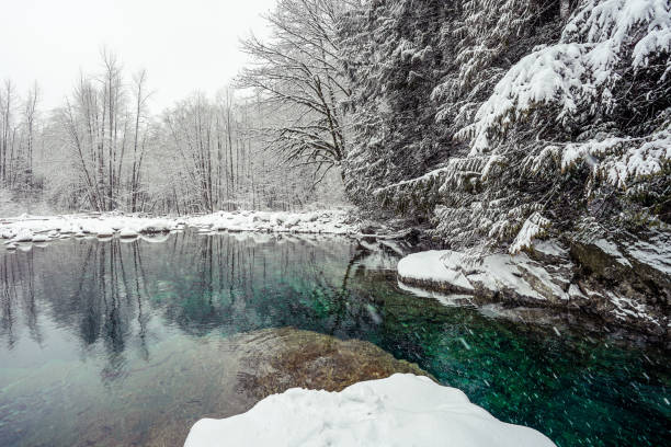 istock 30 foot pool in winter wide view 1134387780