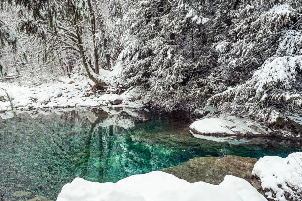 istock 30 foot pool in winter detail 1134387785