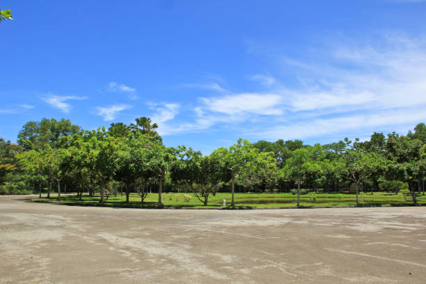 istock A garden view on a bright sunny day 1134387851