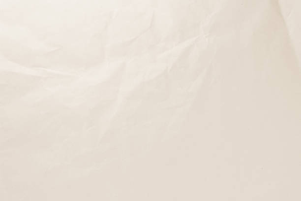 Natural Recycled Paper Texture