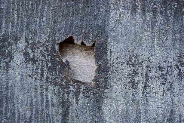 istock gray black texture of old ruberoid with a big hole 1134388589