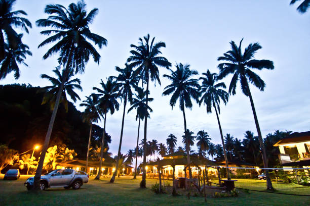 istock A view of coconut trees in a resort 1134389502