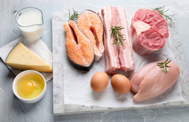 istock Foods high in animal protein 1134390441