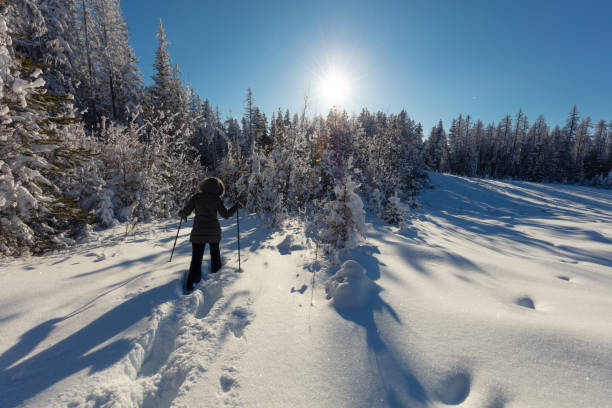 istock Snowshoeing female 1134396383