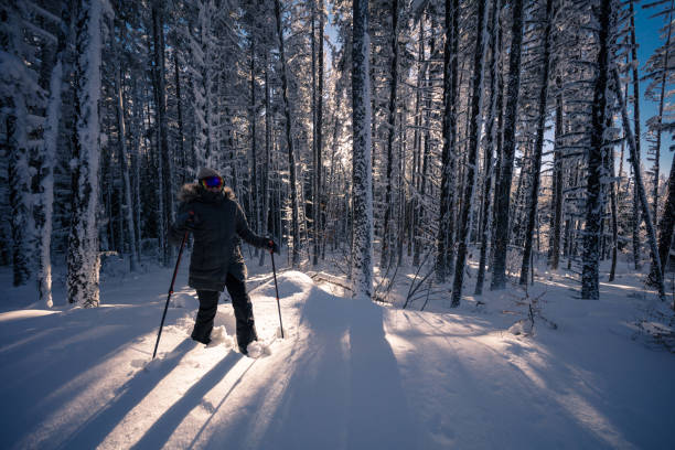 istock Snowshoeing female 1134396471
