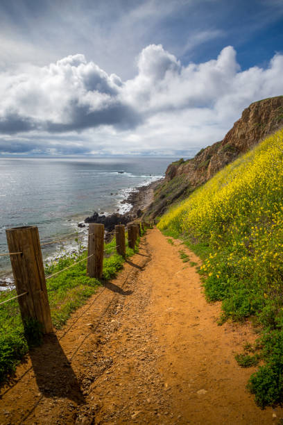 istock Pelican Cove Super Bloom 1134396970