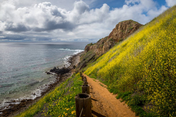 istock Pelican Cove Super Bloom 1134396972