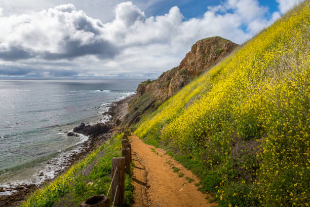 istock Pelican Cove Super Bloom 1134396974