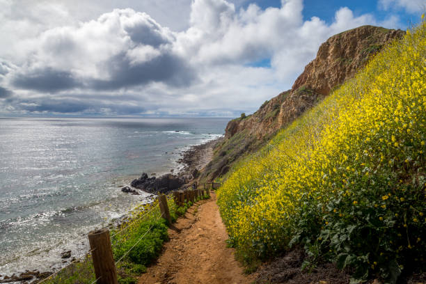 istock Pelican Cove Super Bloom 1134396975