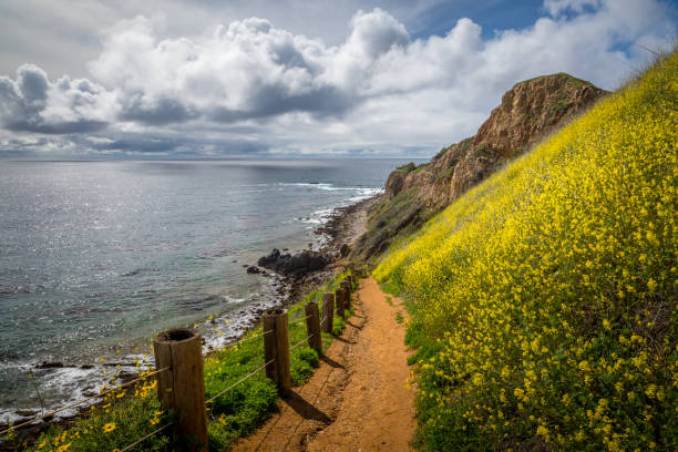 istock Pelican Cove Super Bloom 1134396977