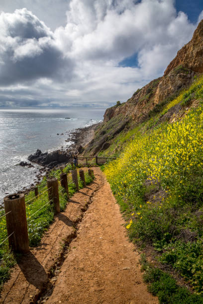 istock Pelican Cove Super Bloom 1134396979