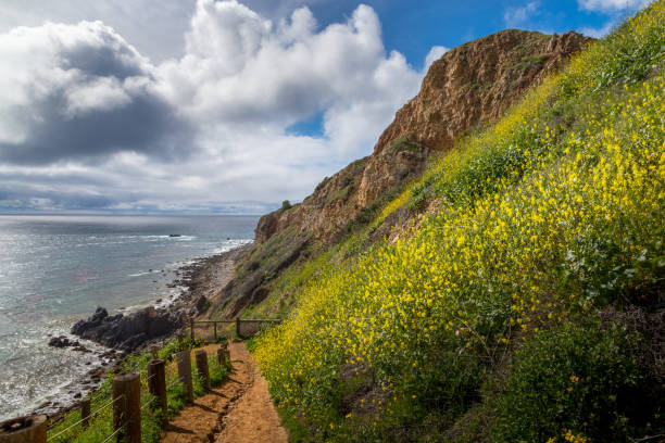 istock Pelican Cove Super Bloom 1134396980
