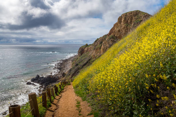istock Pelican Cove Super Bloom 1134396983