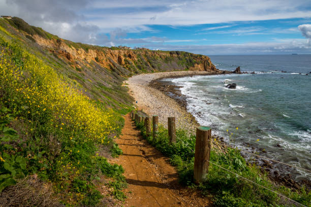istock Pelican Cove Super Bloom 1134396988