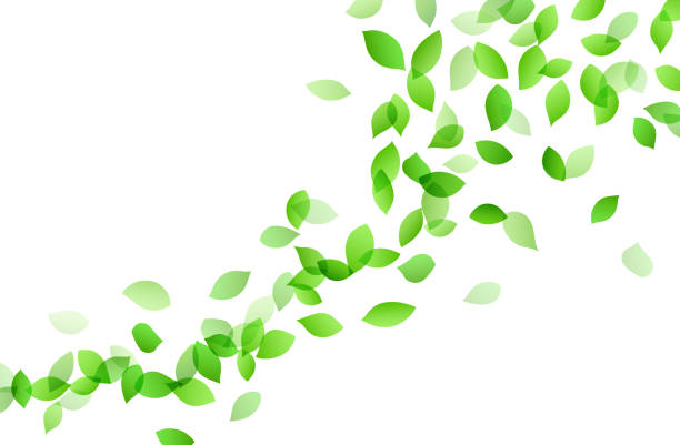 ilustrações, clipart, desenhos animados e ícones de material do fundo da imagem da dança da folha - flowing nature leaf tree