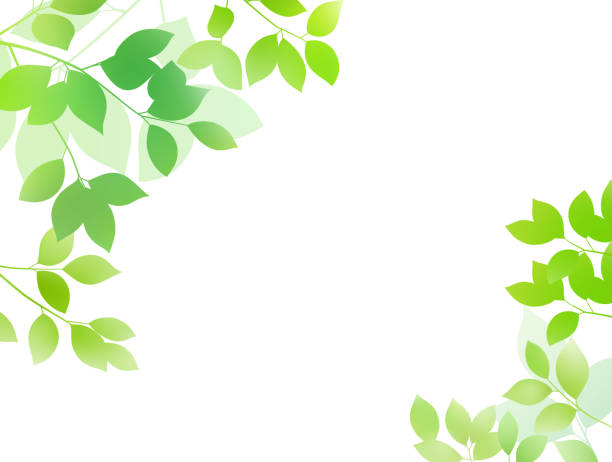 frisches grünes bild hintergrundmaterial - spring air lush foliage branch stock-grafiken, -clipart, -cartoons und -symbole