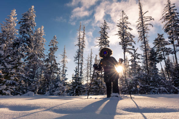 istock Snowshoeing female 1134398499